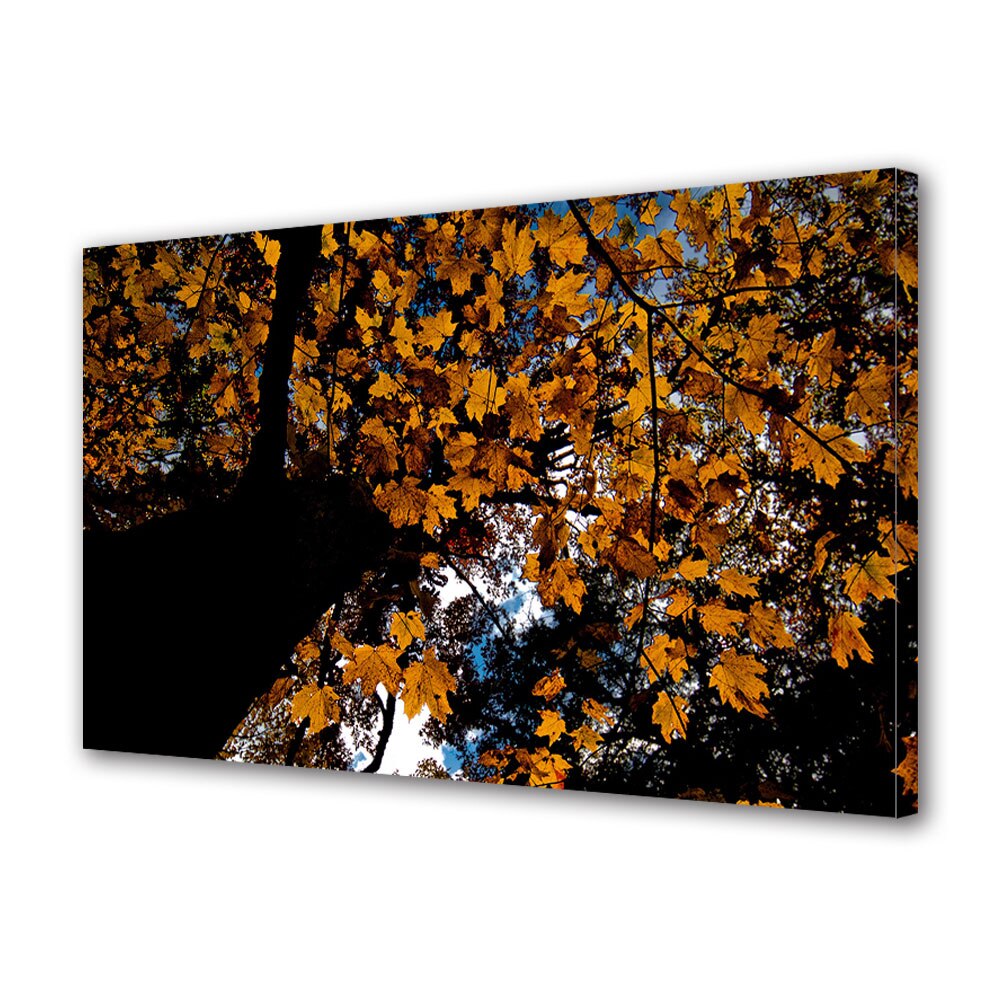 Tablou Canvas Luminos in intuneric VarioView LED, Toamna, Copac cu trunchi intunecat, 30 x 45 cm